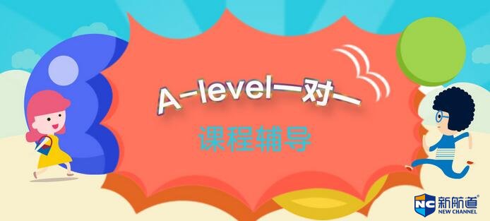 一对一alevel班