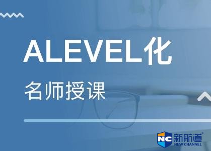 一对一alevel学习 为照顾全班进度和水平