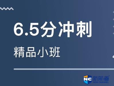 一对一alevel学习 为照顾全班进度和水平