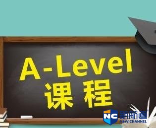 alevel一对一学习 课程是个性化定制